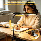 Lampe de bureau à pince double barre LED noire, col de 29 cm