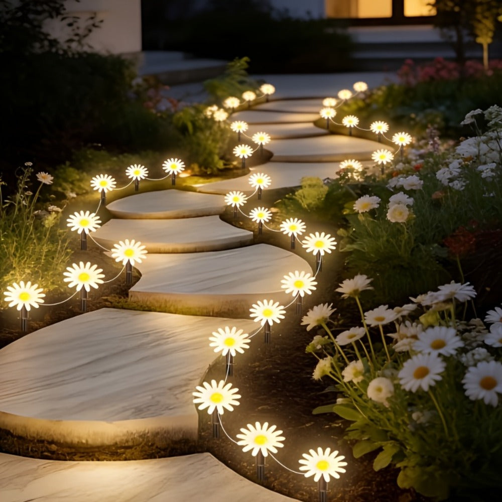 Marguerites solaires en blanc chaud ou multicolores