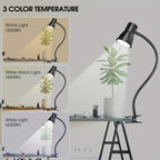 Lampe à pince noire à col de cygne de 40 cm, couture et lecture