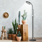 Lampadaire de croissance LED pour plantes à anneau unique, noir