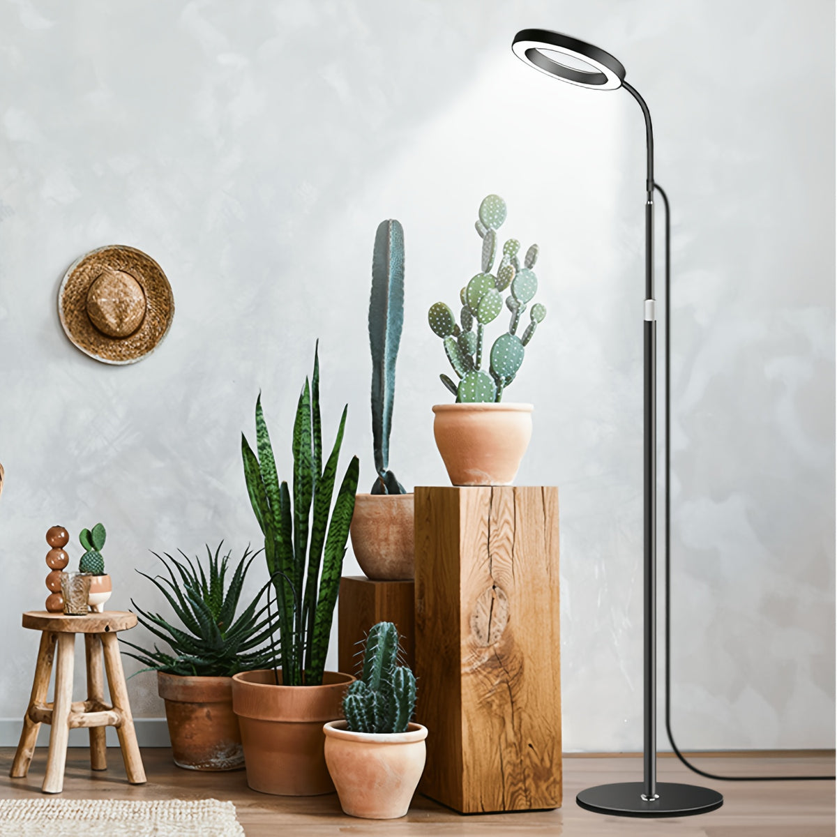 Lampadaire de croissance LED pour plantes à anneau unique, noir