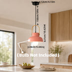 Suspension dôme en métal coloré et anse effet bois, Ø 24 cm