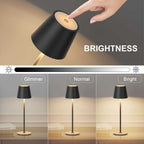 Lampe sans fil en aluminium mat à tige raccourcissable, 38 cm