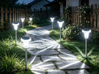 Lot de 12 lampes solaires de jardin à projection d'étoiles, IP44
