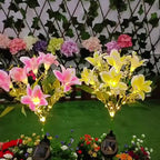 Lot de 2 tiges de lys roses solaires à planter, 7 fleurs LED