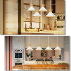 Lot de 2 suspensions scandinaves noires Ø 25 cm, câble 120 cm