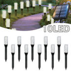 Lumière blanche / 13.68 pieds/4.17 mètres (10 LED)