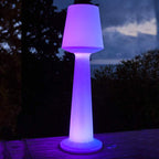 Lampadaire solaire lumineux RVB 110 cm avec télécommande