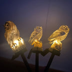 Lampe solaire hibou en résine sur piquet, lot de 2 pour jardin