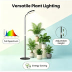 Lampadaire de croissance LED pour plantes à anneau unique, noir