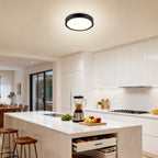 Lot de 2 plafonniers LED ronds noirs extra-plats, Ø 18 cm, 20 W