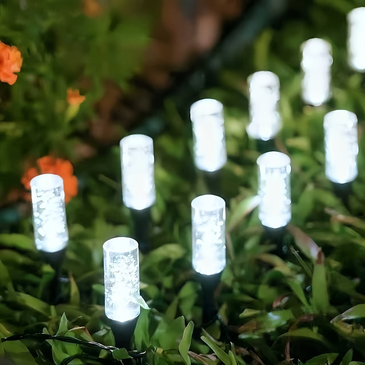 Un panneau unique à planter en plein soleil