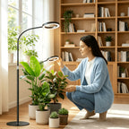 Lampadaire de croissance LED pour plantes à anneau unique, noir