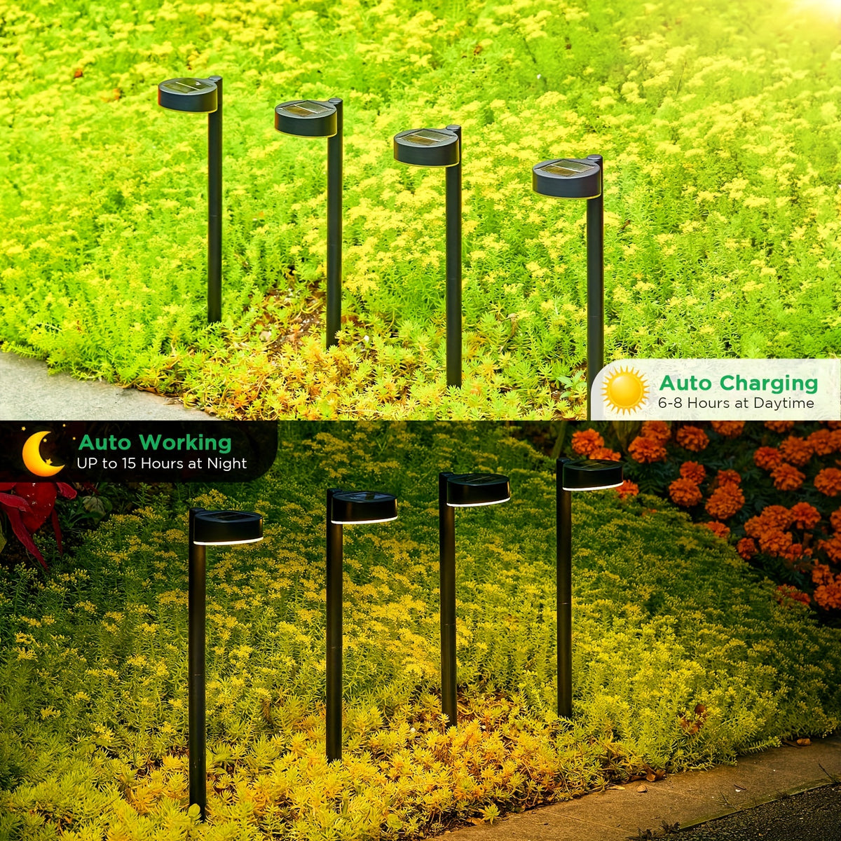 Bornes solaires de jardin à tête ronde, 2 hauteurs, par 8 ou 16