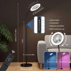 Lampadaire LED ventilateur 2 en 1 avec anneau RVB et télécommande