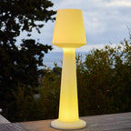 Lampadaire solaire lumineux RVB 110 cm avec télécommande