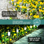Lot de 12 lampes solaires de jardin à piquet finition inox, 33 cm