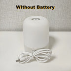 Without Battery