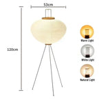High Floor Lamp / tricolor light