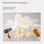 Lustre plumes d'autruche bleu, rose ou blanc sur chaîne, Ø 60-100 cm