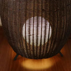 Lampadaire en rotin tressé en forme d'œuf, lampes à poser assorties