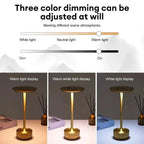 Lampe de table sans fil en aluminium, tactile, trois teintes