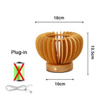 USB Plug in