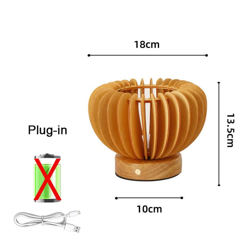 USB Plug in