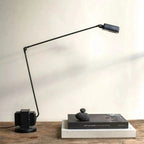 Lampadaire liseuse à bras articulé LED, 161 cm, quatre coloris