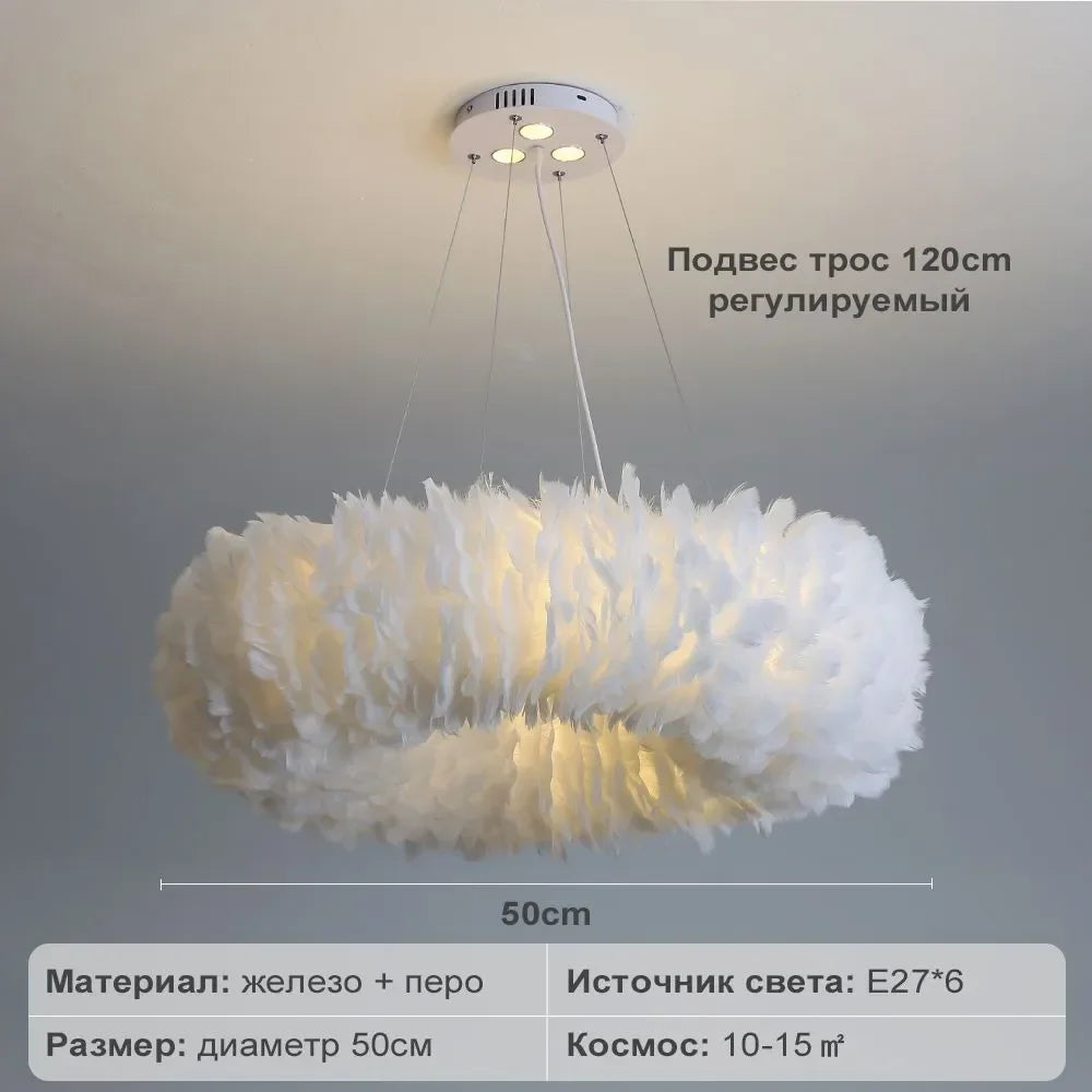 50cm