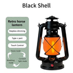 Black shell / Brun