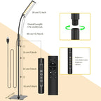 Remote Control Model / Pas de prise