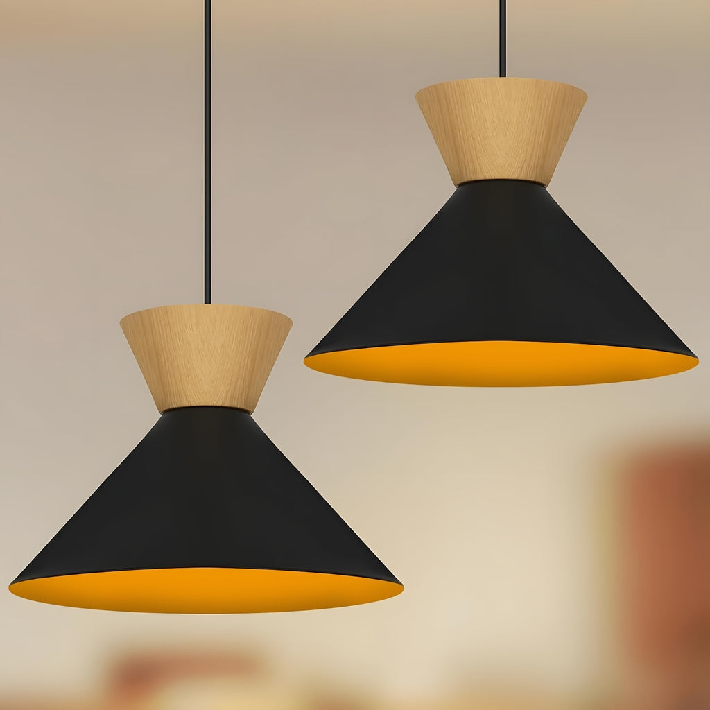 Lot de 2 suspensions scandinaves noires Ø 25 cm, câble 120 cm