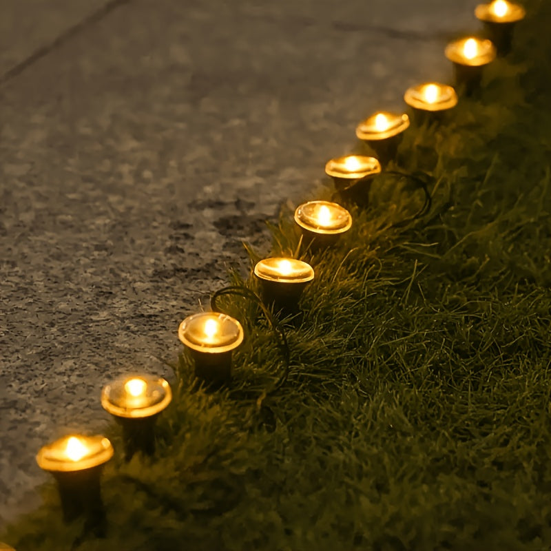 Allée, massif rond, terrasse : un liseré lumineux