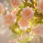 Lumière chaude / Champagne Rosé