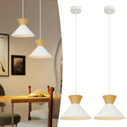 Lot de 2 suspensions scandinaves noires Ø 25 cm, câble 120 cm