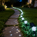 Blanc / 20 LED 770 cm/303.15 pouces