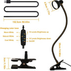 Lampe à pince col de cygne en cinq coloris, mémoire, 10 niveaux