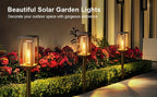 Grande lanterne solaire carrée à filament, 72,5 cm, lot de 2 ou 4