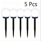 5 Pièces Blanc