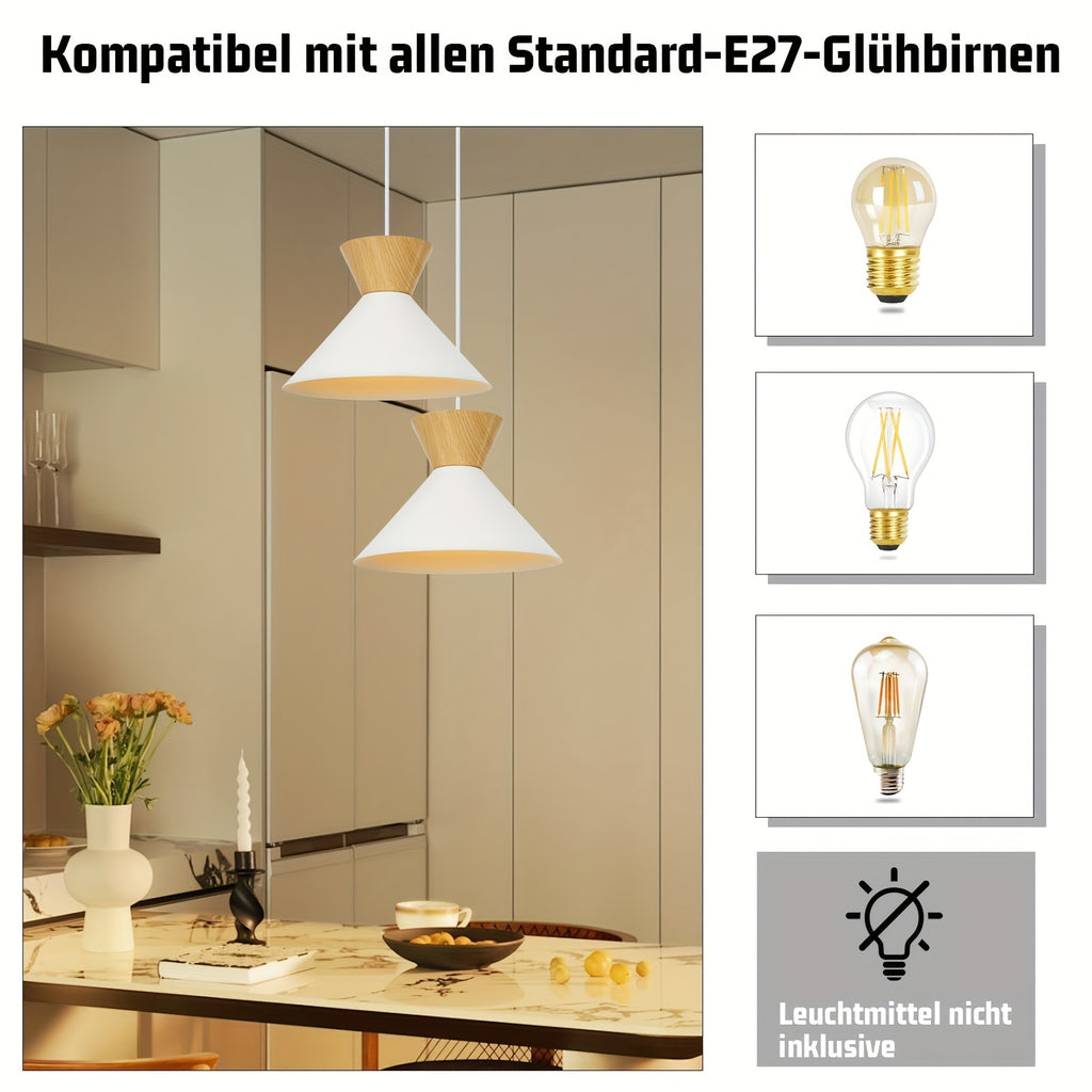 Lot de 2 suspensions scandinaves noires Ø 25 cm, câble 120 cm