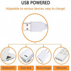 Néon LED planète bicolore à piles ou USB, 30 x 17 cm, 3 coloris
