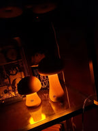 Lampe champignon en bois sans fil, veilleuse tactile rechargeable