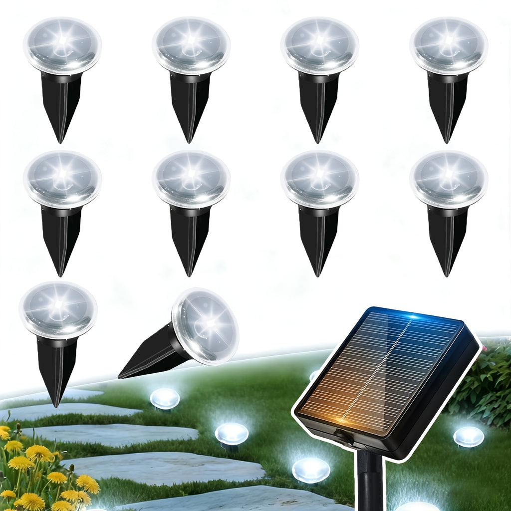 Blanc Froid / 3,86 m/12,65 pi 10 LED
