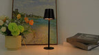Lot de 2 lampes de table sans fil en métal, trois teintes, tactiles