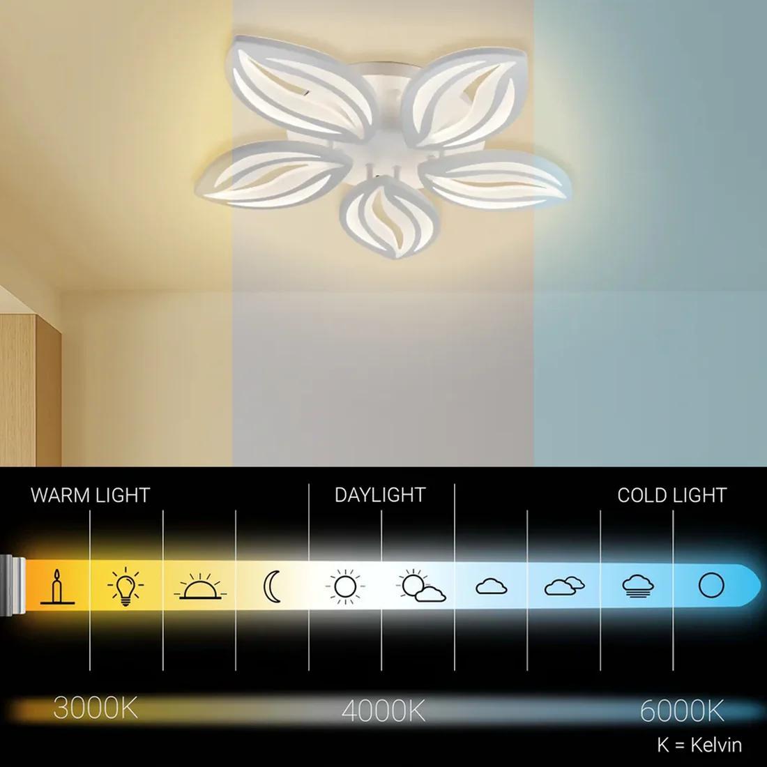 Plafonnier LED à cinq pétales blancs, Ø 53 cm, télécommande, 65 W