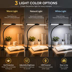 Lampe de bureau à pince double barre LED noire, col de 29 cm