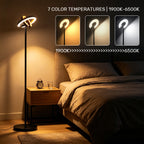Lampadaire LED double anneau avec télécommande, 1900 à 6500 K