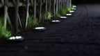 Spot solaire de sol à piquet 8 LED, Ø 7,2 cm, lot de 10