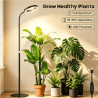 Lampadaire de croissance LED pour plantes à anneau unique, noir